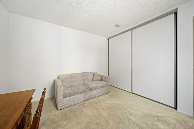living area featuring a textured ceiling and carpet
