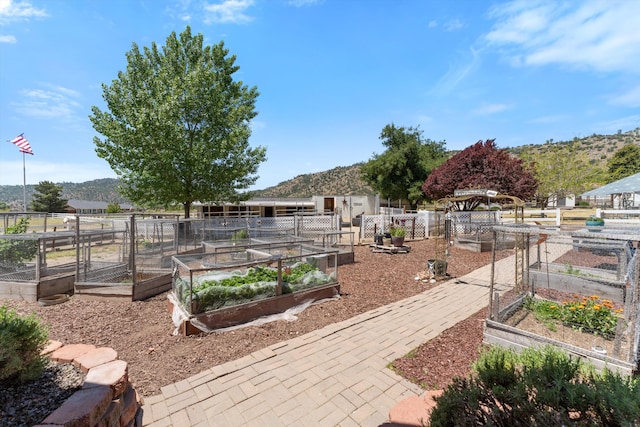 view of yard featuring a vegetable garden and a mountain view
