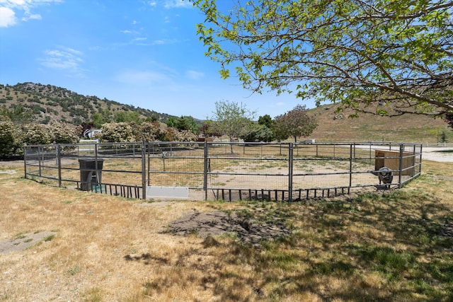 view of yard with a rural view and a mountain view