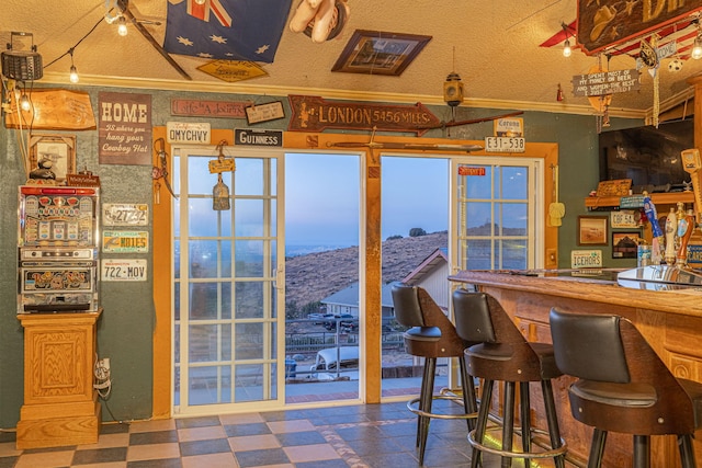 bar with a mountain view and ornamental molding