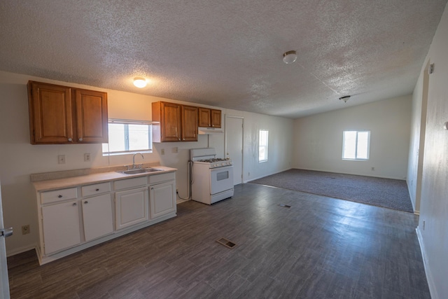 kitchen with wood-type flooring, white gas range oven, lofted ceiling, and sink