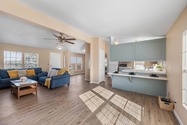 living room featuring hardwood / wood-style flooring and ceiling fan