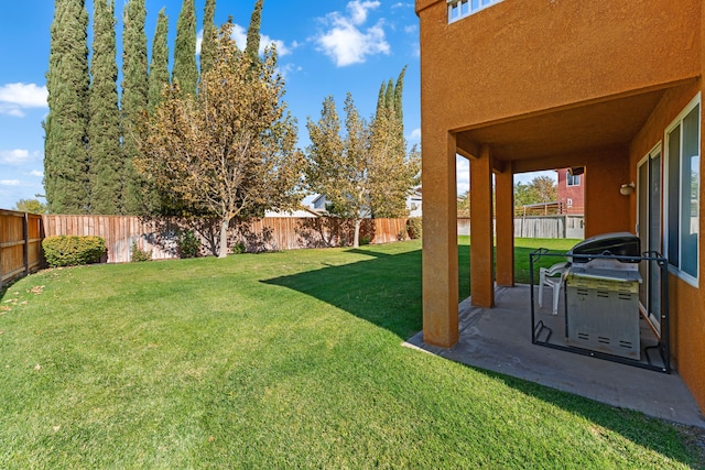 view of yard featuring a patio area