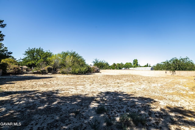 3807 Paula Ln, Lancaster, CA 93535 - view of yard