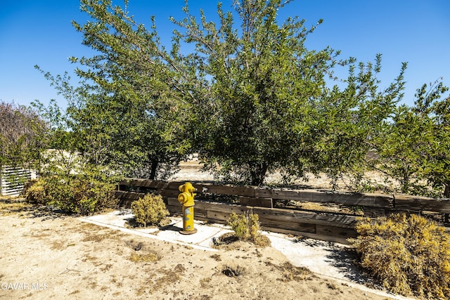 3807 Paula Ln, Lancaster, CA 93535 - view of yard