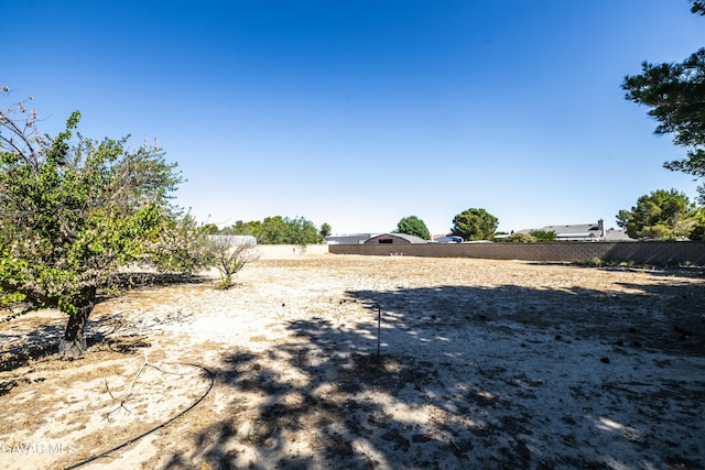 3807 Paula Ln, Lancaster, CA 93535 - view of yard
