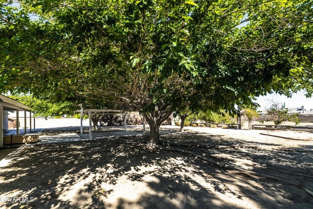 3807 Paula Ln, Lancaster, CA 93535 - view of yard