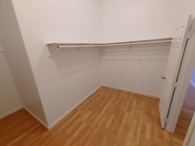 walk in closet with light hardwood / wood-style flooring