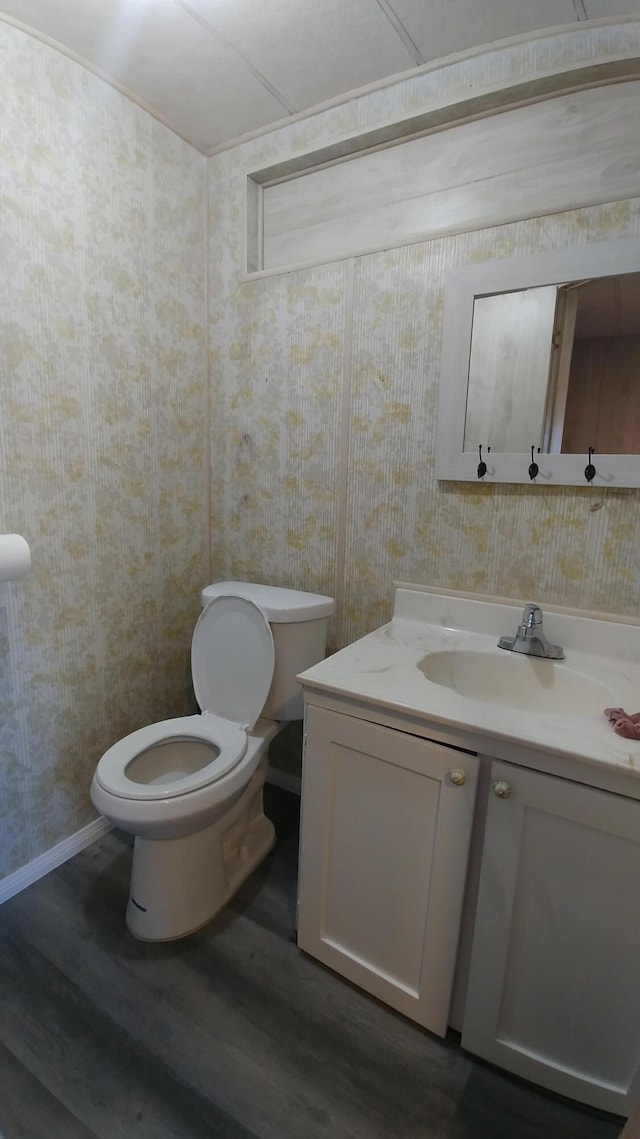 bathroom featuring vanity, toilet, and wood-type flooring