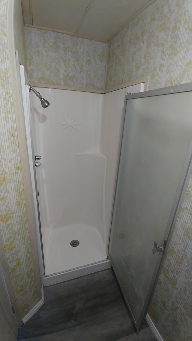 bathroom with a shower and wood-type flooring