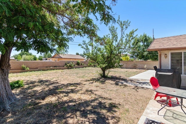 view of yard featuring a patio