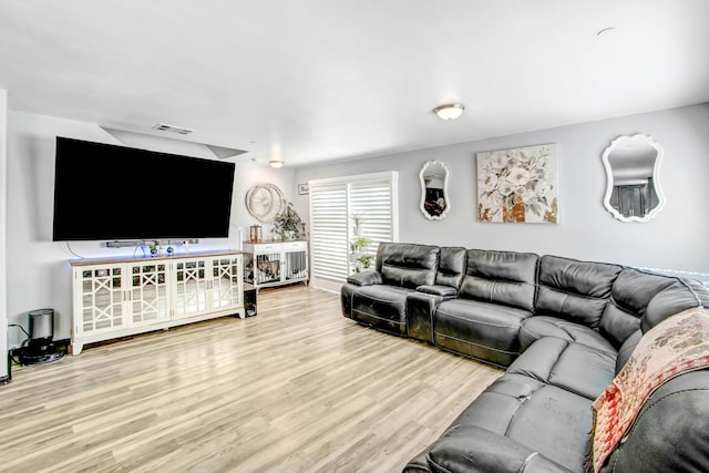 living room featuring wood-type flooring