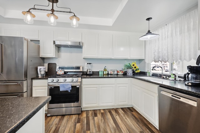 kitchen with under cabinet range hood, stainless steel appliances, hanging light fixtures, and white cabinetry