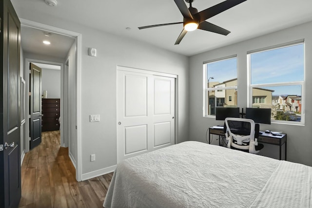 bedroom featuring ceiling fan, dark hardwood / wood-style flooring, and a closet