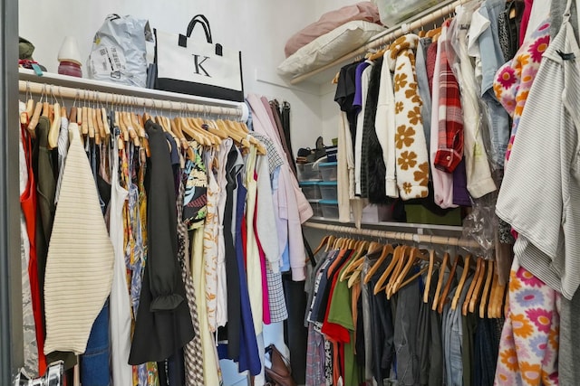 view of spacious closet