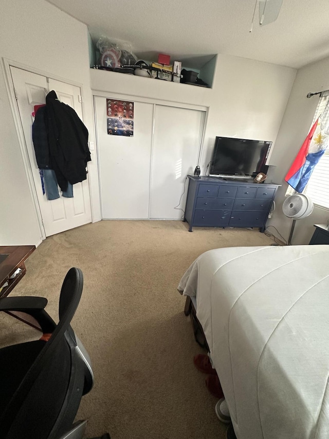 bedroom with carpet flooring