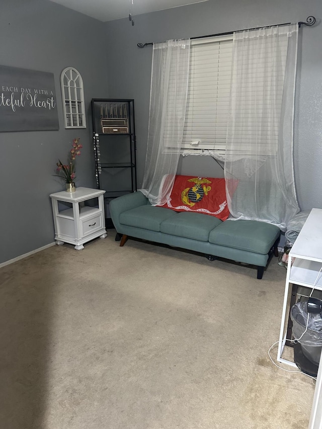 sitting room with carpet flooring