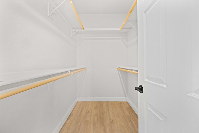 spacious closet featuring light wood-type flooring