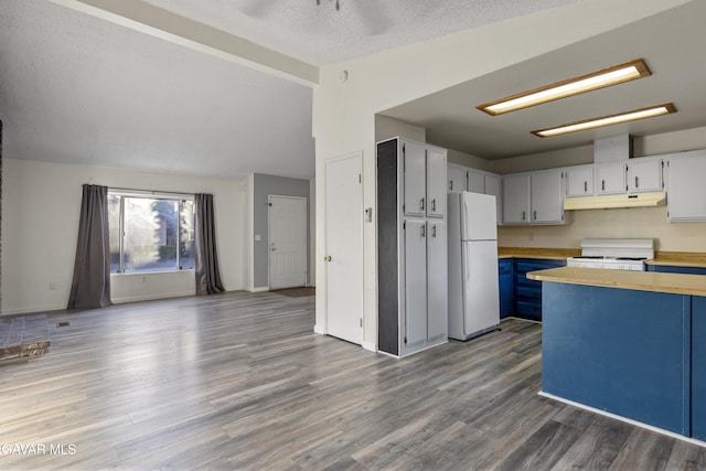14332 Lear St, Mojave, CA 93501 - kitchen with white appliances, under cabinet range hood, wood finished floors, open floor plan, and a textured ceiling