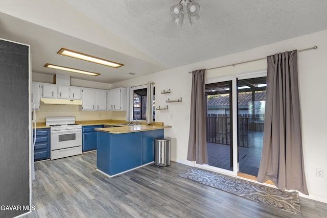 14332 Lear St, Mojave, CA 93501 - kitchen with white gas range, under cabinet range hood, blue cabinetry, healthy amount of natural light, and lofted ceiling