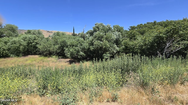 Rimford Dr, Lake Elizabeth, CA 93532