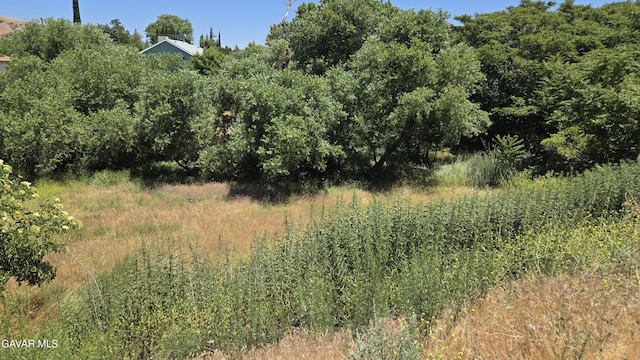 Rimford Dr, Lake Elizabeth, CA 93532
