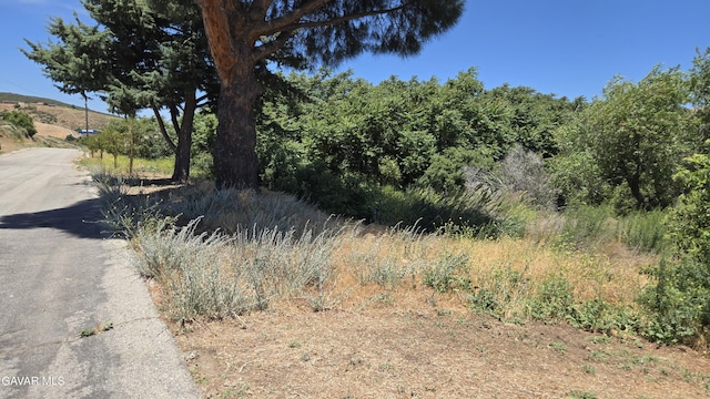 Rimford Dr, Lake Elizabeth, CA 93532