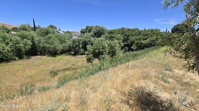 Rimford Dr, Lake Elizabeth, CA 93532