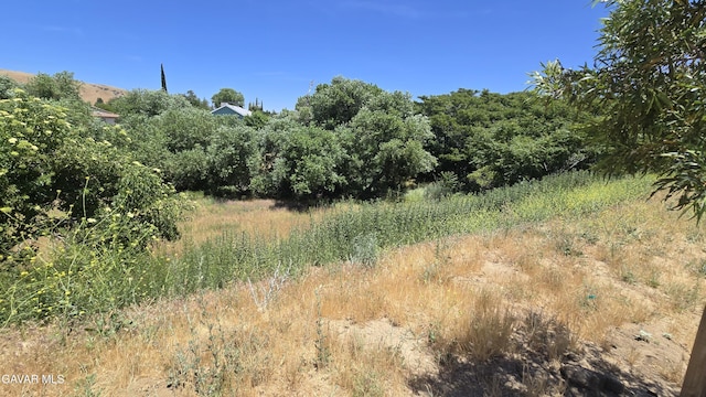 Rimford Dr, Lake Elizabeth, CA 93532