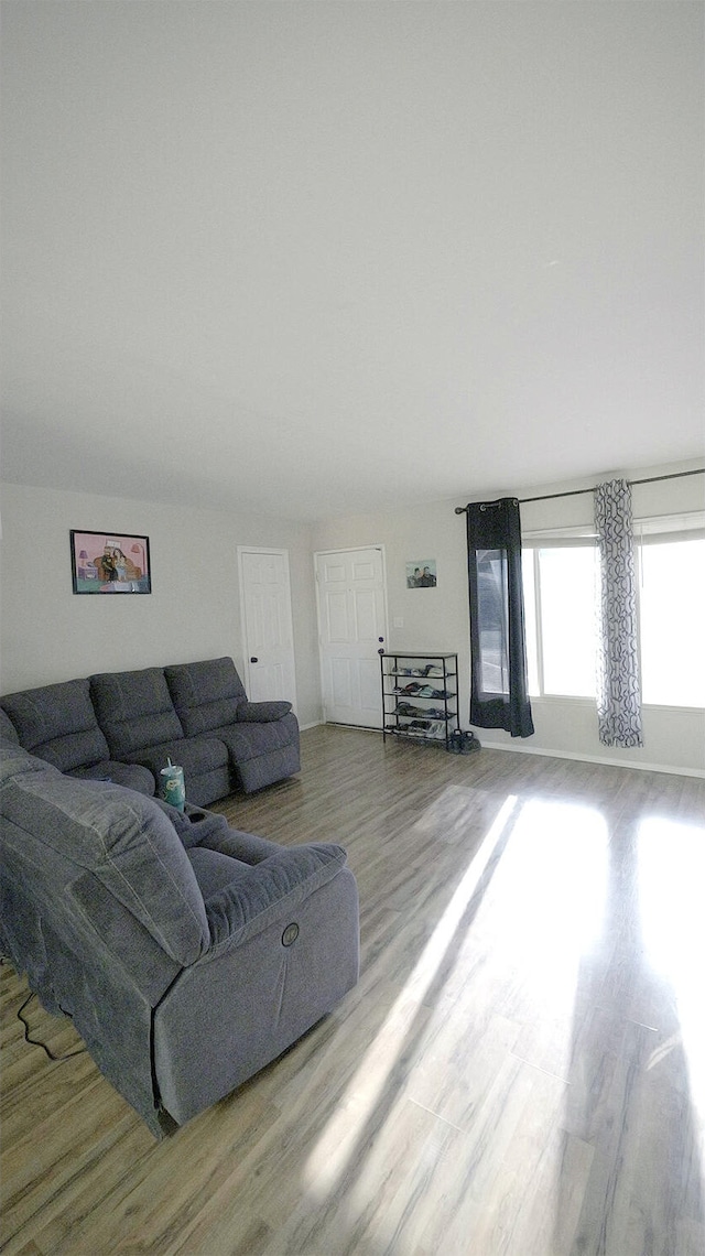 living room featuring light wood-type flooring