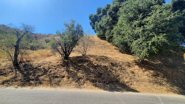 Hunstock St, Val Verde, CA 91384 - photo 5