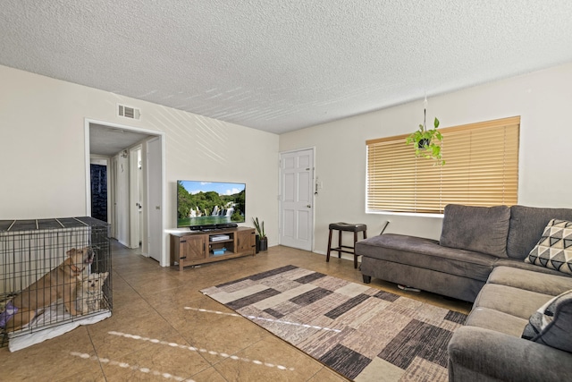 living room featuring a textured ceiling