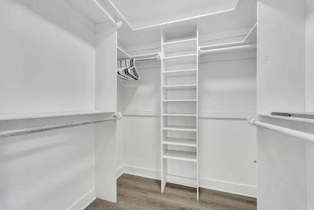 spacious closet featuring hardwood / wood-style flooring