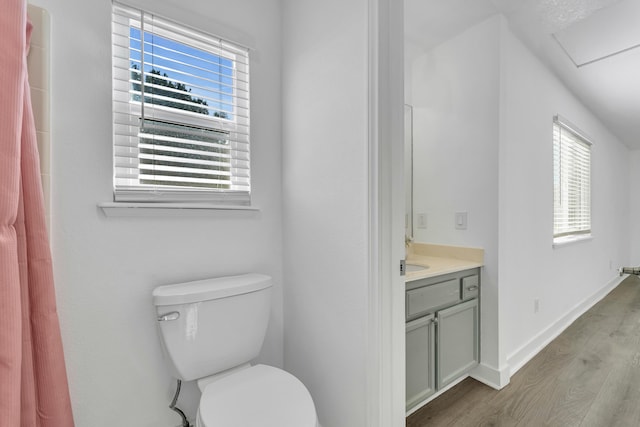 bathroom with vanity, wood-type flooring, and toilet