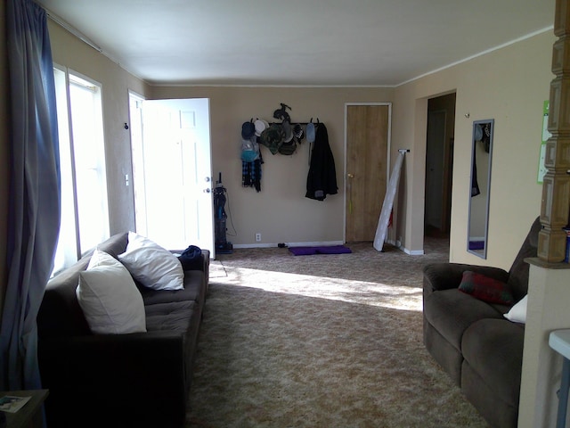 living room featuring carpet floors and ornamental molding