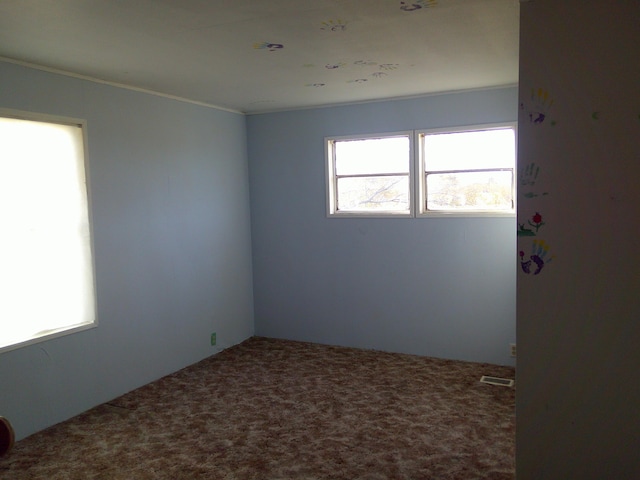 empty room featuring carpet flooring and plenty of natural light