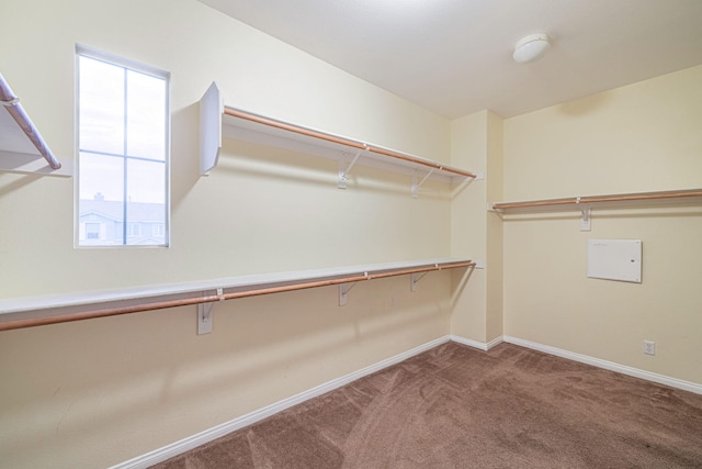 spacious closet with carpet floors