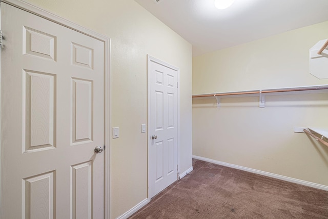 walk in closet featuring carpet flooring