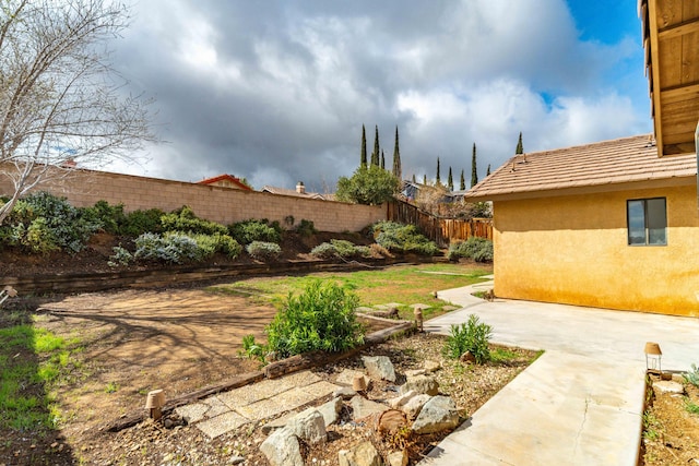 view of yard with a patio area and a fenced backyard