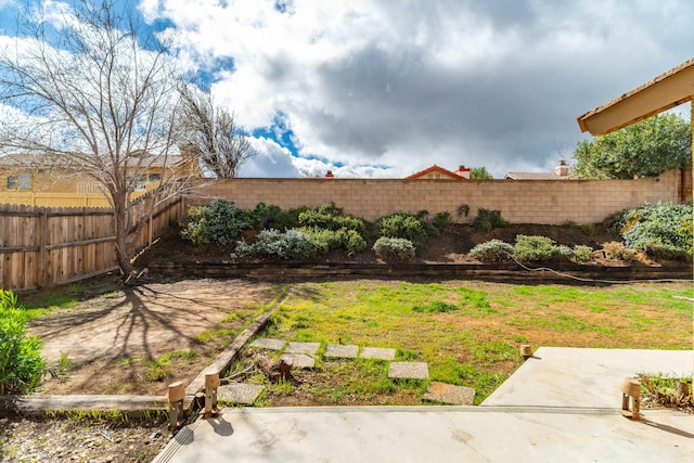 view of yard with a patio area and a fenced backyard