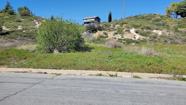 Kiptree Dr, Lake Elizabeth CA, 93532 land for sale