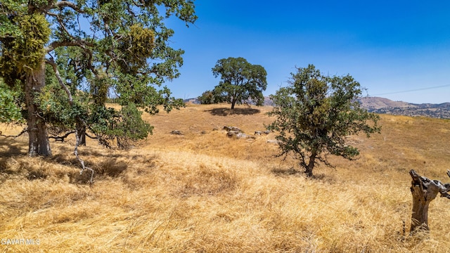 0 Clover Spring Rd, Tehachapi, CA 93561 - photo 6