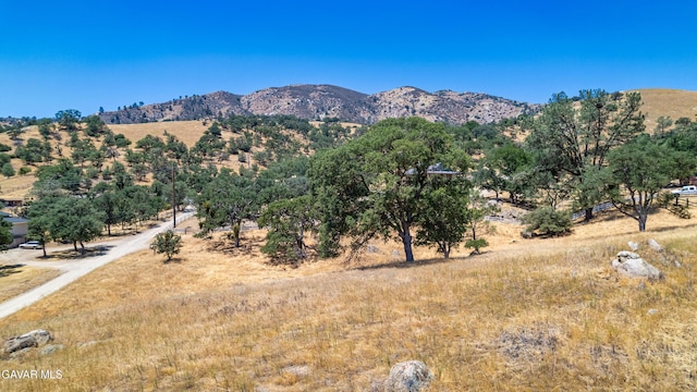 0 Clover Spring Rd, Tehachapi, CA 93561 - photo 8