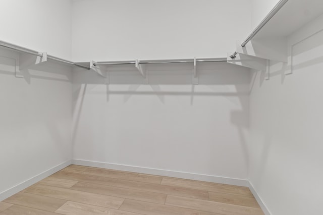 spacious closet featuring light wood finished floors