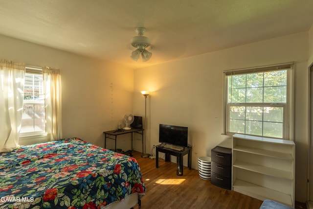 817 W J6, Lancaster, CA 93534 - bedroom with multiple windows, wood finished floors, and ceiling fan