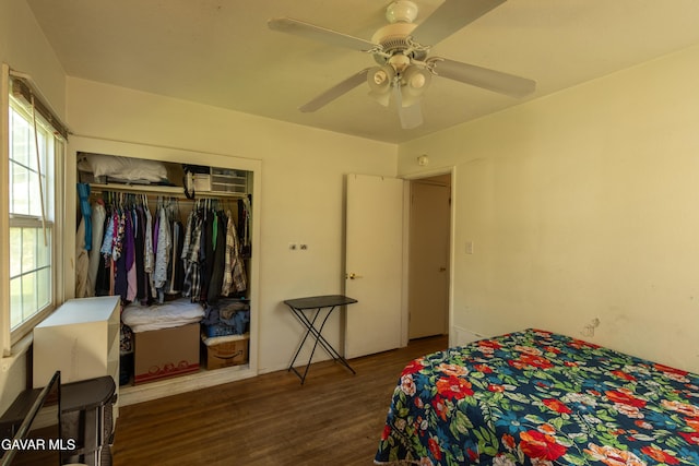 817 W J6, Lancaster, CA 93534 - bedroom with wood finished floors, multiple windows, a ceiling fan, and a closet