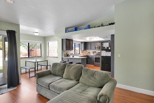 living room featuring light hardwood / wood-style floors and sink