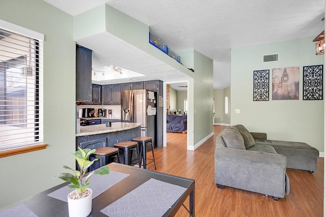 living room with light wood-type flooring and a wealth of natural light