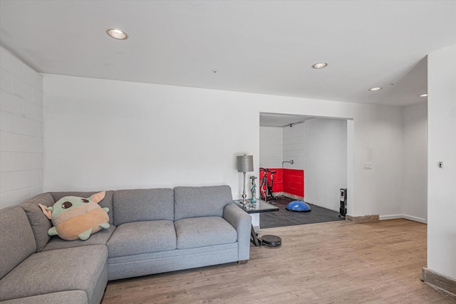 living area featuring baseboards, wood finished floors, and recessed lighting