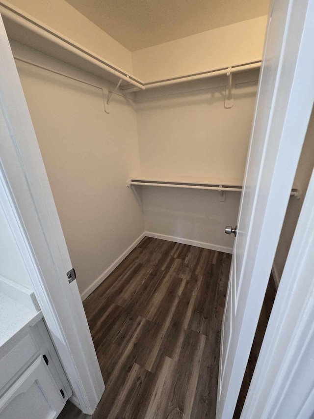 walk in closet featuring dark wood-style flooring